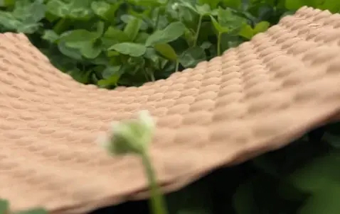 绿色低碳2 绿色低碳2